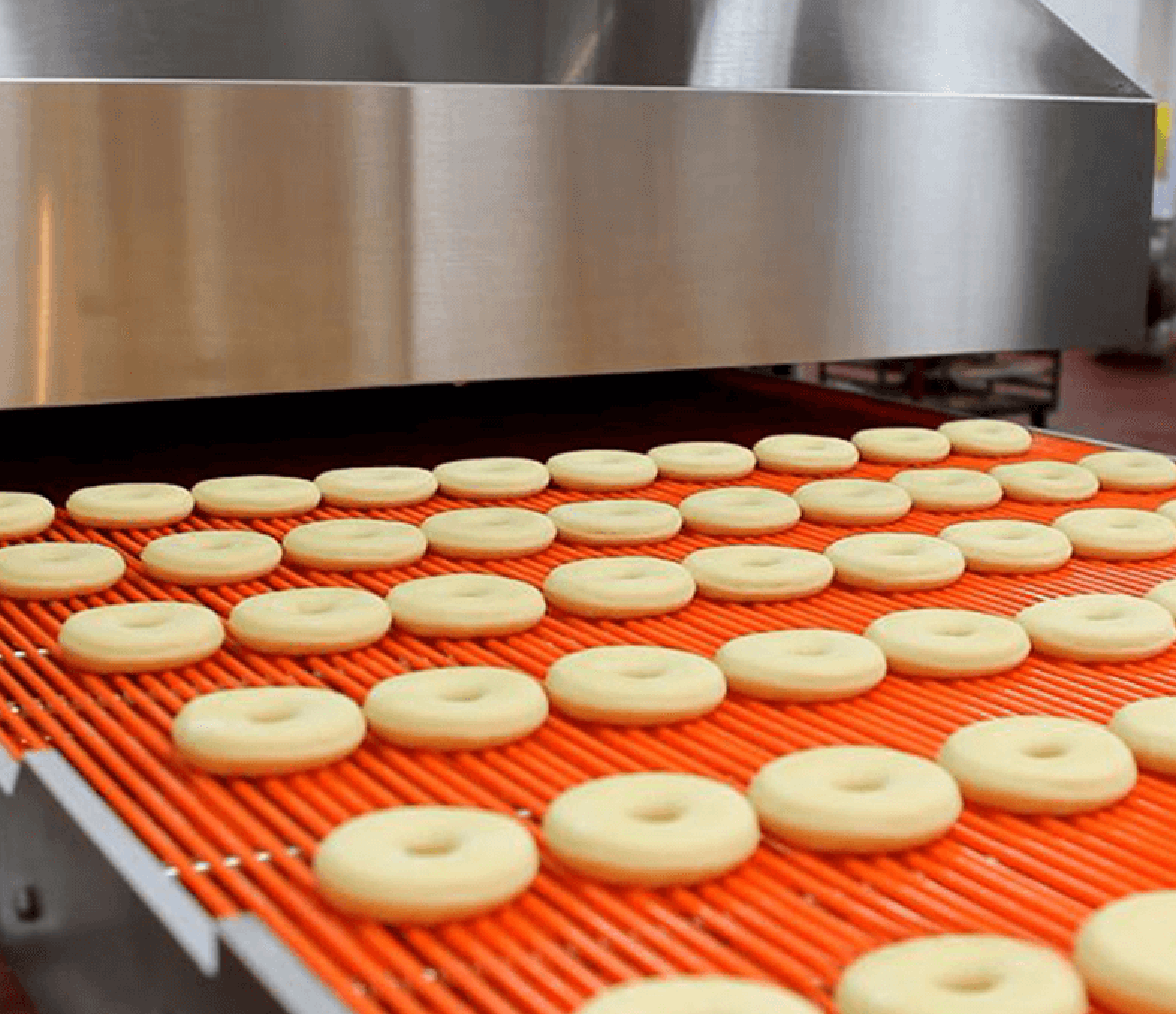 Donut Machines, Ovens and Bakery Equipment | Belshaw