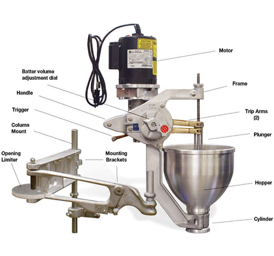 belshaw-type-F-labels